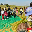 김영욱농장 이미지