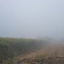 삼태리농장 이미지