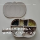 큐브 | 이유식큐브 토핑이유식 에브리유 언제나큐브 후기