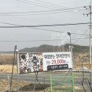 갑을장어 이미지