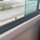 썬해피누리 | 안녕하시긔..