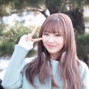 수정애견 이미지
