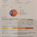 프라임안과의원 이미지
