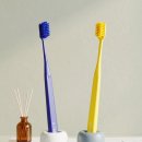 디랩(DLAB)치과기공소 | 진짜 부드러운 칫솔 추천! 디랩 미세모 칫솔 써본 후기