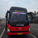 온비/(주)지혜로운사람들 | [국내여행] 구례 화엄사 홍매화 &amp; 구례 산수유 꽃 축제 여행 후기, 붉은 유혹과 노란 설렘의 만남