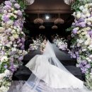 예스PC | [본식스냅] 가성비 본식스냅 ‘예스더데이스냅’ 계약후기 +짝꿍할인 코드 공유