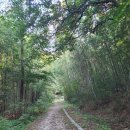 미륵산 약수터 이미지