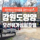 해변모텔 | 강원도 양양 반려견 동반 가성비 호텔 추천 체스터톤스 낙산 최저가 예약 🍯