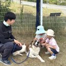 영광유치원 이미지