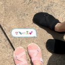 아쿠아라이프 | 이츠라이프 아쿠아슈즈 : 남자 여자 워터슈즈 오션월드준비물 물놀이신발