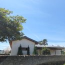 섭재 | 행복했던 3대가족 4월 제주여행 Day4(섭재-하나로마트-섭재-하나로마트-섭재ㅋㅋ)