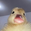 굿프라임메디컬의원 이미지