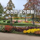순천만 국가정원 입장료 방문 후기 (스카이 큐브)