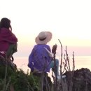 해안민박 이미지