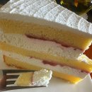 한적2길 | 대구 팔공산 정원카페 시크릿가든 – 힐링타임 한적한 숲속 휴식