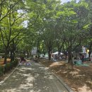 오조산공원 바닥분수 이미지