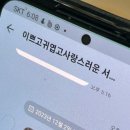 탕후룻 네이버블로그