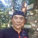 고송골 Daum카페