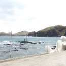 제주 관음사 후불도 이미지