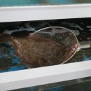 부강전통시장 이미지