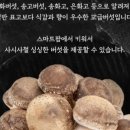송화마트 네이버블로그