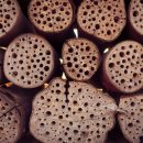 창조보청기 이미지