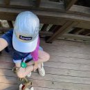 캄파슬로우캠핑장 | 2025 강원도 원주 캄파슬로우 캠핑장 데크7 애견동반 캠핑장