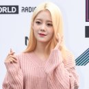 그레이시 이미지