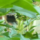 보성내과의원 이미지