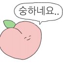 보쿠굿즈