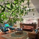 여의도상한가의원 | 여의도 상한가의원 우연히 방문했지만 대만족한 후기