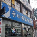 용마동물병원 네이버블로그