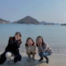 남해-278 이미지