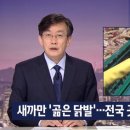 전국유통