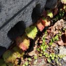 덕우리마을 이미지