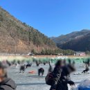 산천어민박 | [산천어축제펜션] 축제장과 1분거리인 다가가다한옥 숙박후기