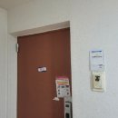 반도보라 이미지