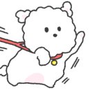 대전하프의원 이미지