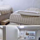정성스럽게 눈매를 디자인해주는 라올래쉬 고잔점 속눈썹 전문샵 후기