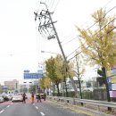 추산농로 이미지