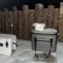 휴소프트 | 내돈내산 여행용 보냉백, 밤켈 소프트쿨러 직접 써본 후기