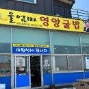 울엄마영양굴밥
