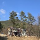 주문진펜션 청유 | 주문진 독채펜션 청유 후기｜편백 숙소·복층 구조 프라이빗 여행 정리