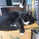 유일낚시마트 이미지