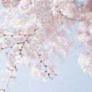 경기대로652번길 이미지