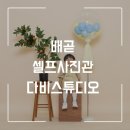 배곧 셀프스튜디오 추천 다비스튜디오 솔직후기📸 인생사진 건짐