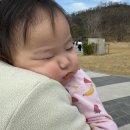 설아미장 | 수원 일월수목원 vs 영흥수목원 아이랑 가본 후기｜어디가 더 좋은지 비교