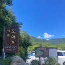 무릉도원면-23 | 여름 계곡 캠핑장 강원도 영월 캠프오어즈 여름 1번 방문 후기