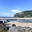 대평 목장 이미지