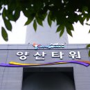 문라이트가든 이미지